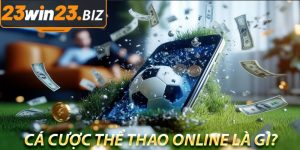 Cá Cược Thể Thao Online Là Gì?