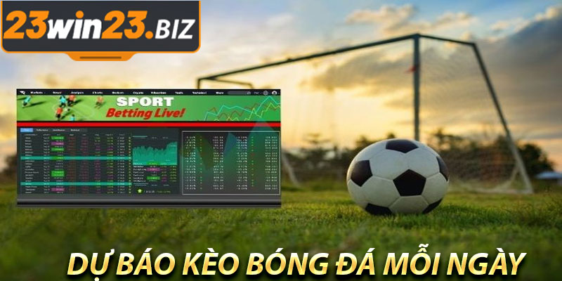 Tại Sao Bạn Nên Theo Dõi Dự Báo Kèo Bóng Đá Mỗi Ngày?